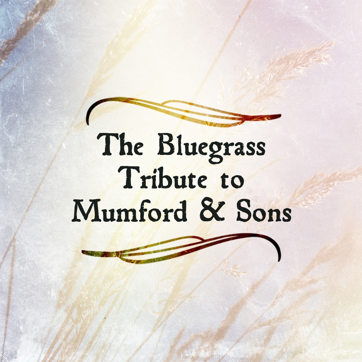 The Bluegrass Tribute to Mumford & Sons