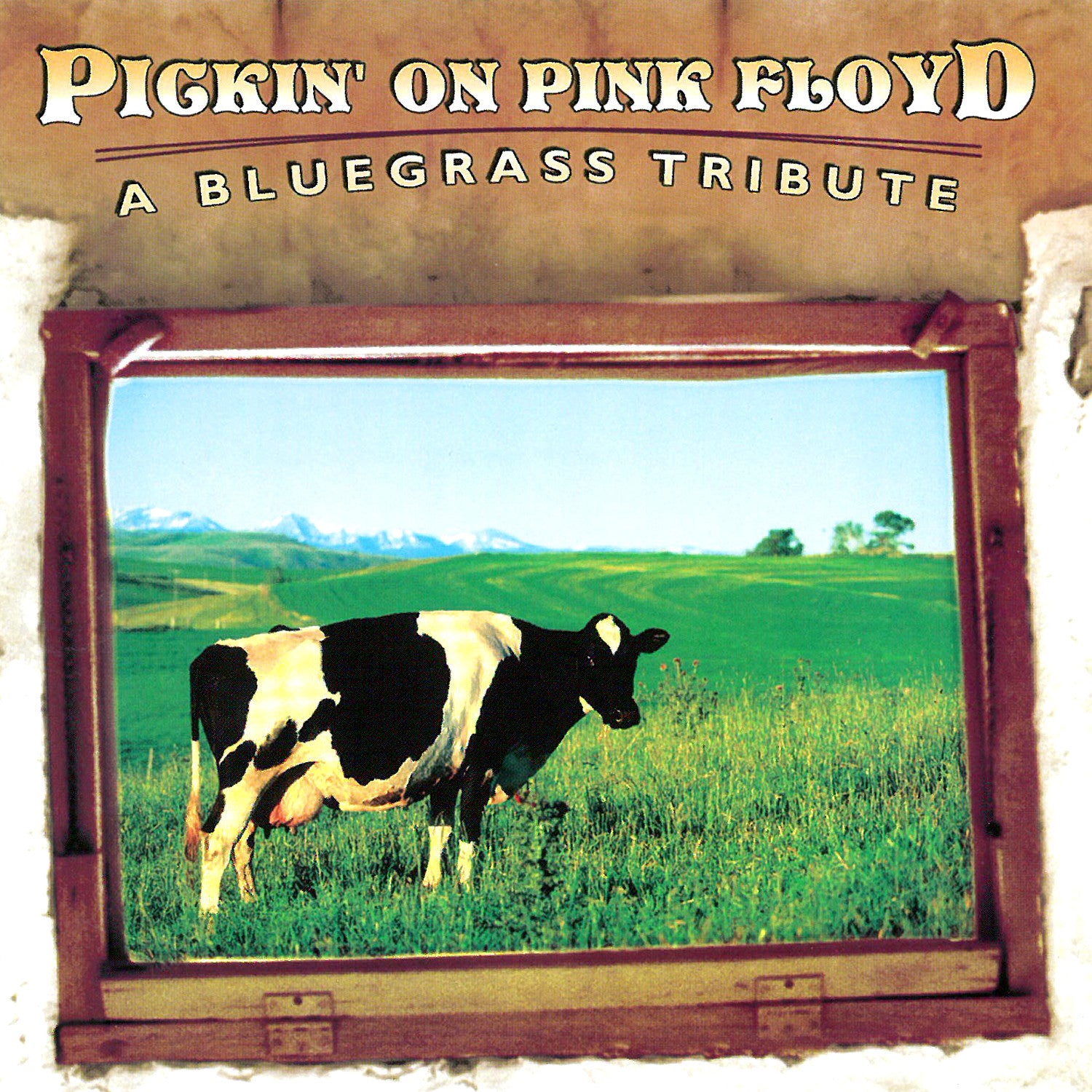 Pickin' On Pink Floyd: A Bluegrass Tribute