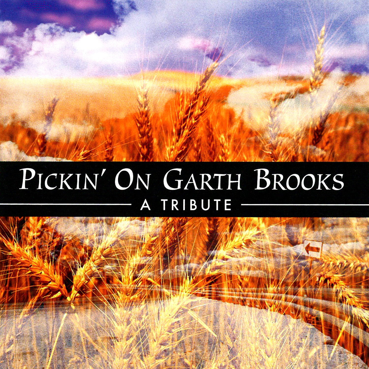 Pickin' On Garth Brooks