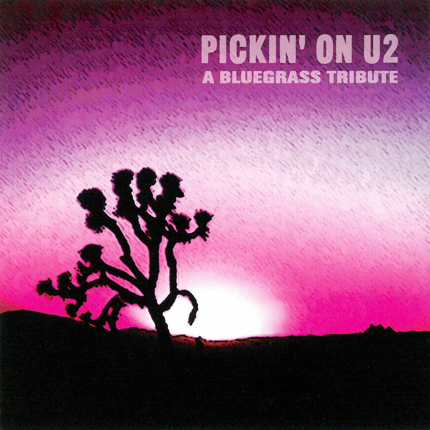 Pickin' On U2: A Bluegrass Tribute